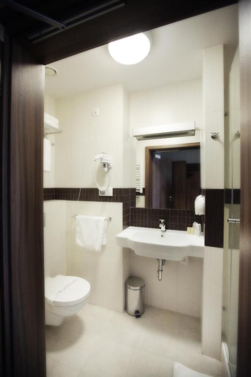 Hotel Termy Palacowe Nałęczów Rom bilde